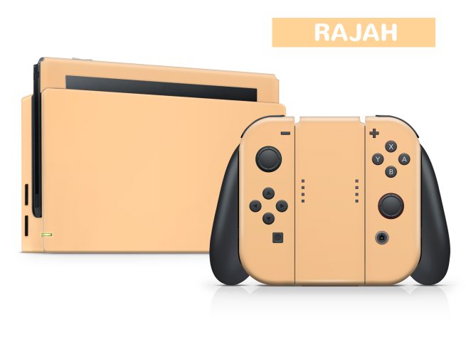 Nintendo Switch Neutral Series Skin