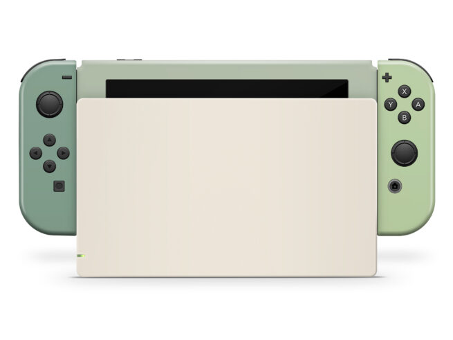 Nintendo Switch Natural Colors Skin